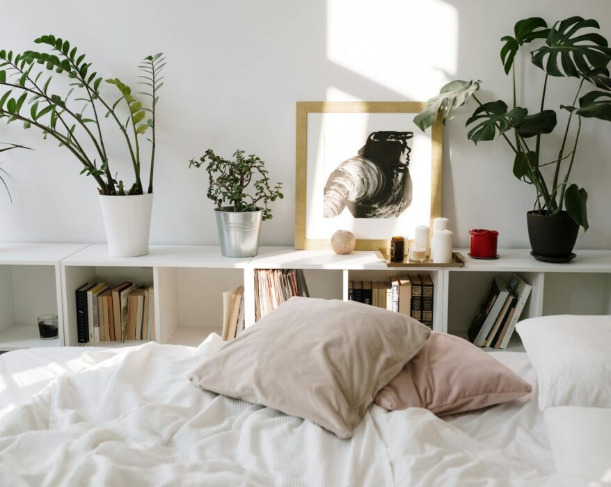 Bedroom interior with a variety of potted plants on shelves above a bed and bookshelves on either side of the bed