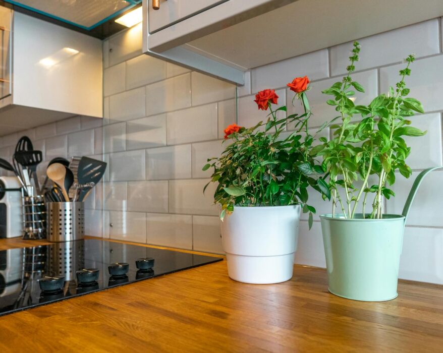 Woman standing in a kitchen holding a pot with a basil plant