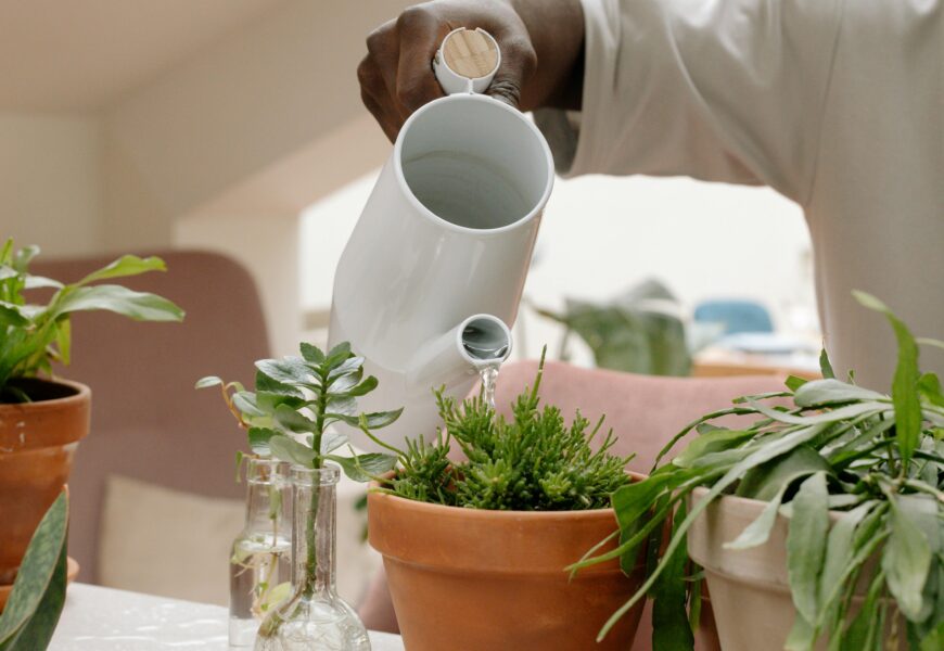 Person using a moisture meter to test the soil of a houseplant in a pot