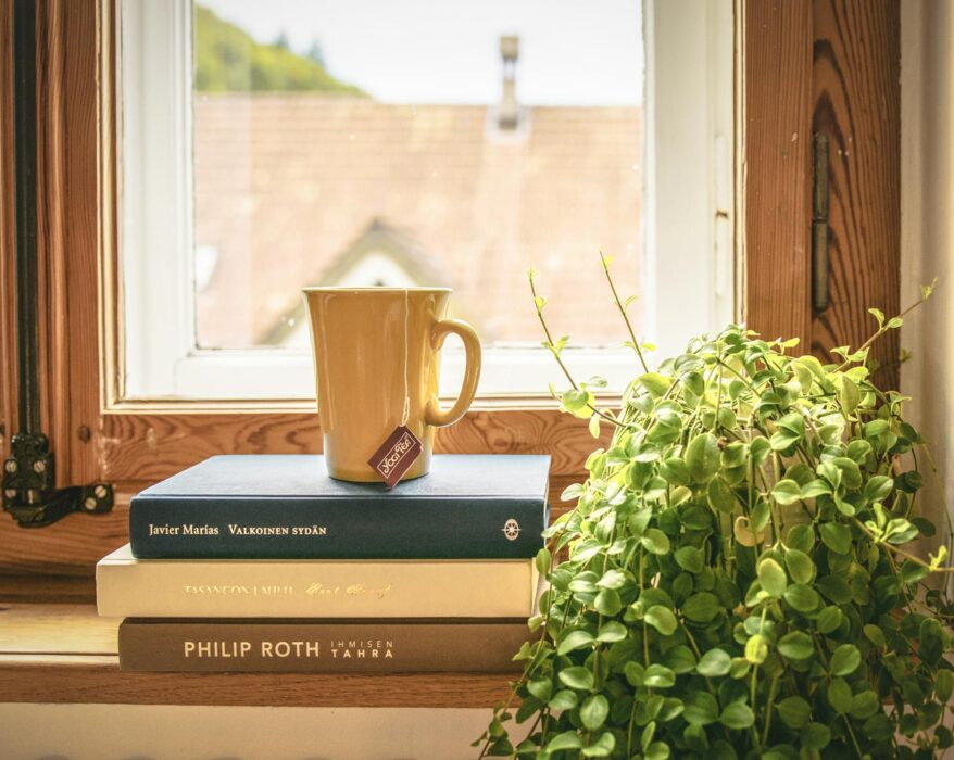 Image of a shelf lined with various potted tea plants in a sunny location