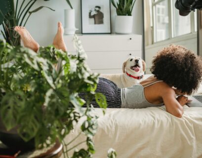 Image of a modern living room with several houseplants on shelves and side tables