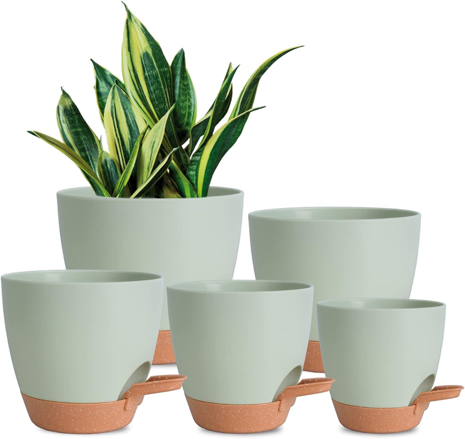 Self Watering Planters for Indoor Plants