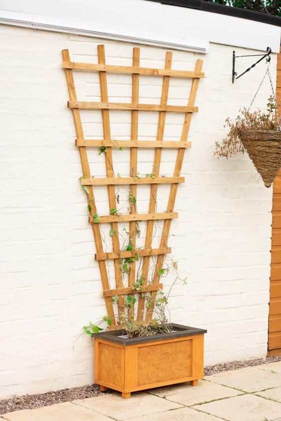 Upcycled Trellis Triumphs fixed to a wall, perfect for small backyards
