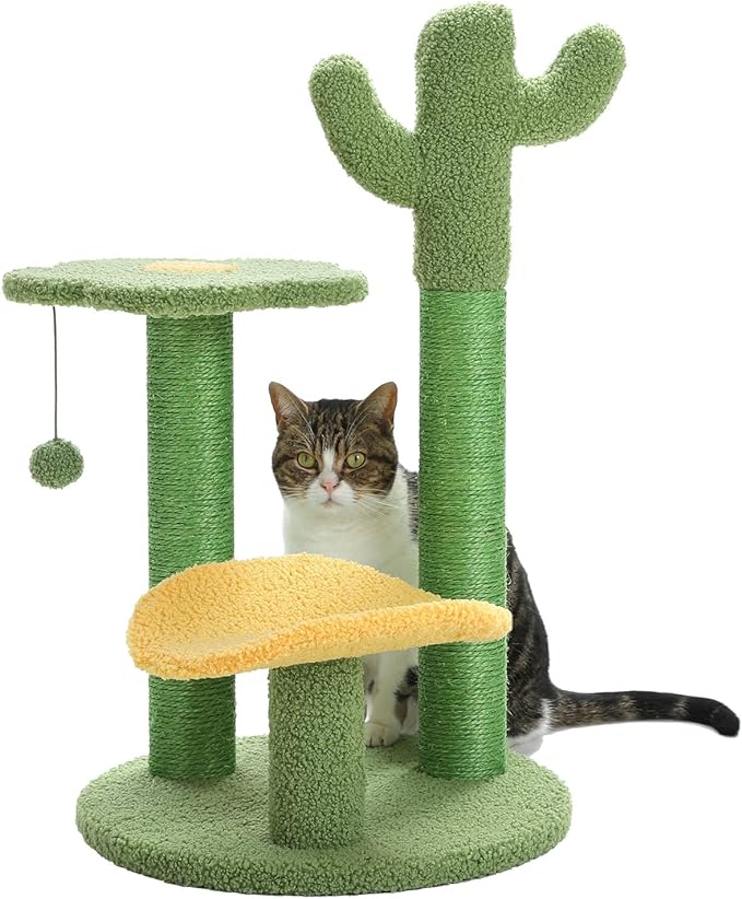 How to Get Your Cat to Stop Digging in Plants? this toy