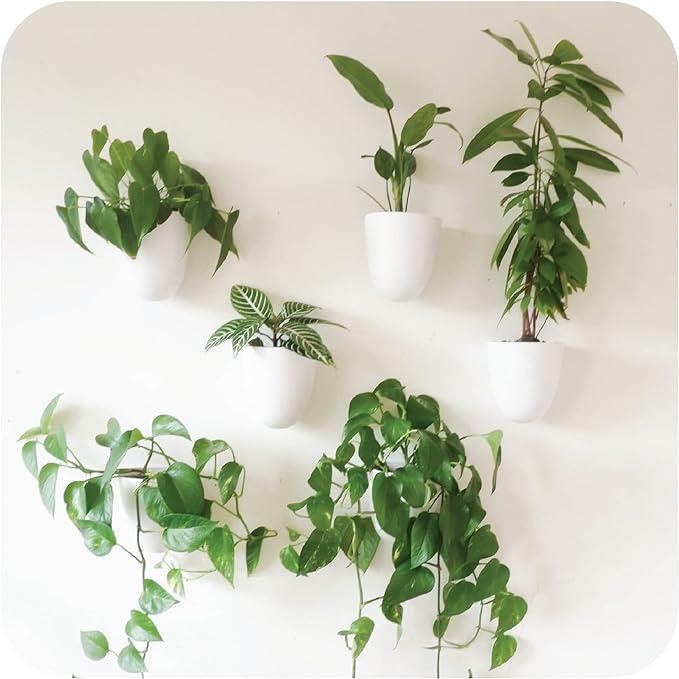 Wall-mounted Planters