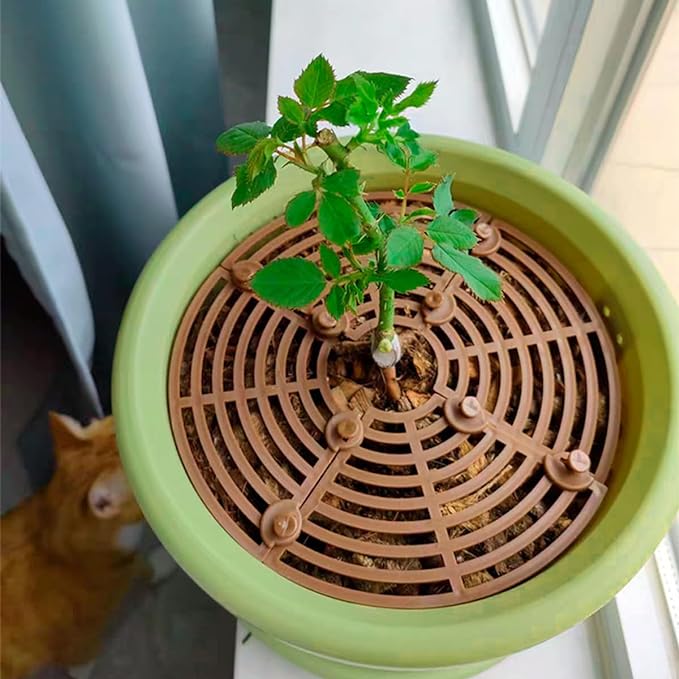 How to Get Your Cat to Stop Digging in Plants