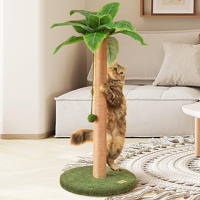 How to Get Your Cat to Stop Digging in Plants? this toy