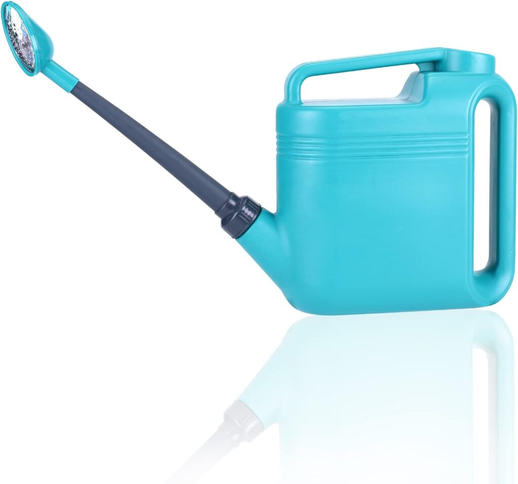 blue Watering Can Champion