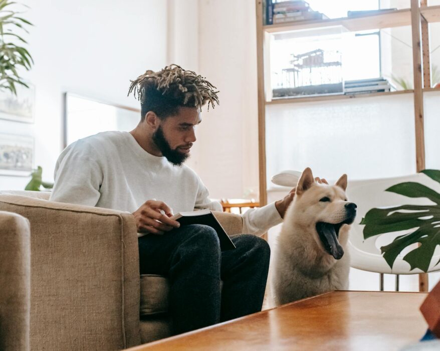 Person placing a citrus peel near a houseplant with a pet nearby