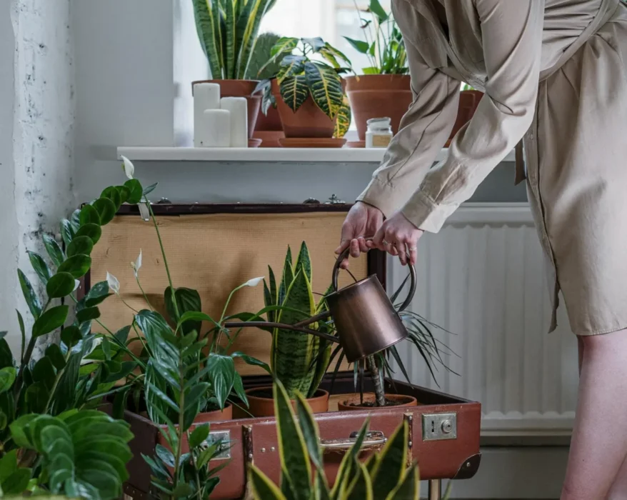 A collage showcasing various budget-friendly ways to grow plants in a backyard. This could include elements like repurposed containers, seed trays with seedlings, and a hanging basket overflowing with flowers.