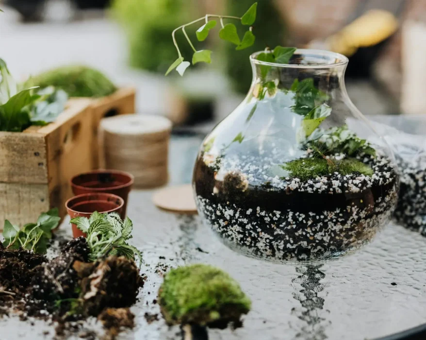 Transparent glass vase filled with a variety of houseplants on a table.