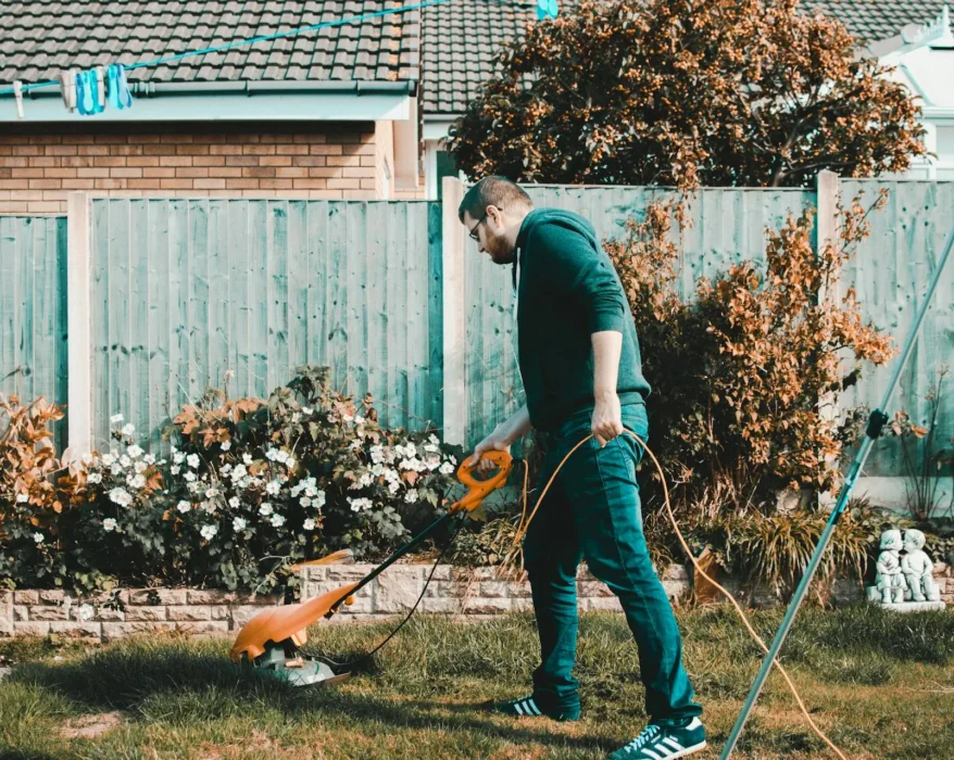 A collage showcasing various budget-friendly landscaping ideas for a backyard garden. This may include elements like a paved walking path, colorful potted plants, a DIY bird feeder, and a simple water feature.