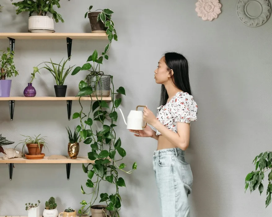 Indoor jungle scene with diverse plants in self-watering planters of various styles and colors.