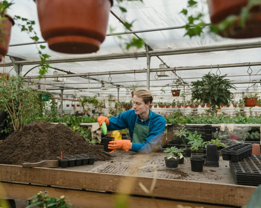 Split-screen image showcasing Vertical and Horizontal Gardening styles. Left side: Lush green plants cascading down a vertical garden installation. Right side: Colorful potted plants overflowing on a sunny windowsill.