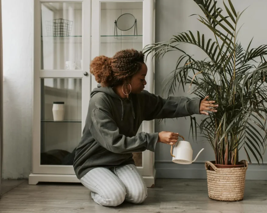 Terracotta self-watering planter with a thriving green plant on a well-lit windowsill.