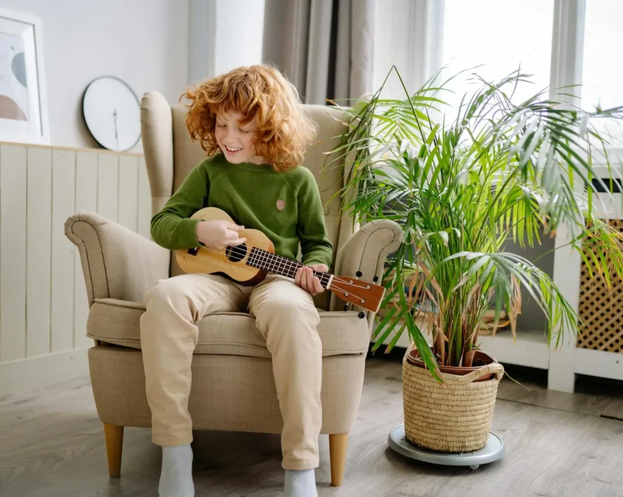 Collage showcasing kid-friendly houseplants. This could include a snake plant, a spider plant with baby spiderettes, and a succulent.