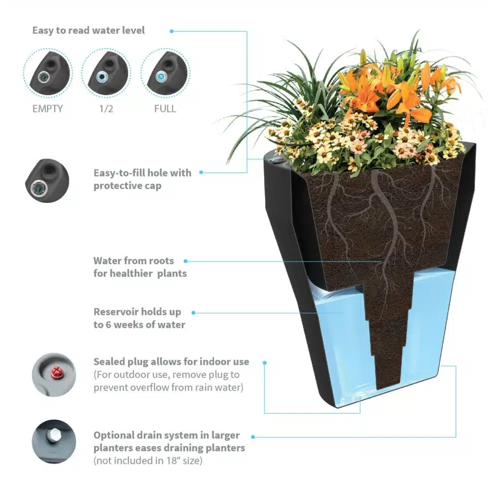 Self-watering planters function based on scientific principles