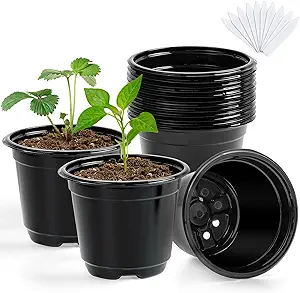 Recycled containers for cuttings and plants