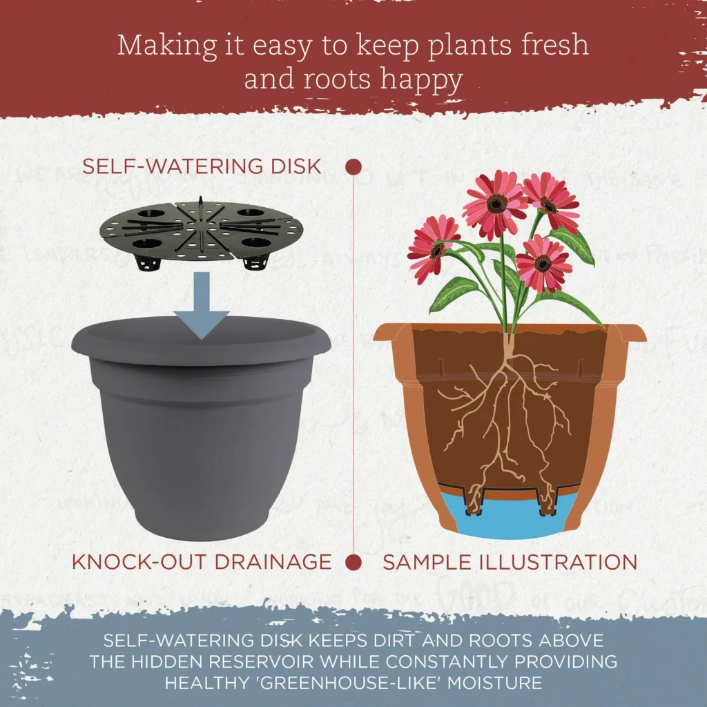 Best Large Self-Watering Planters : Bloem Ariana Self-Watering Planter