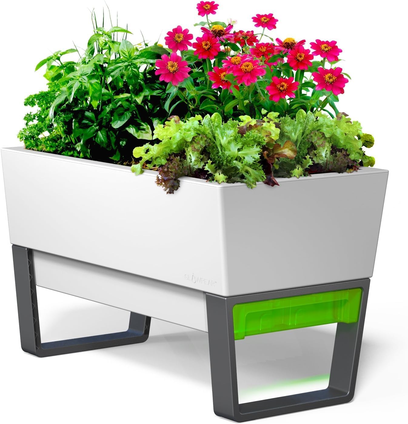 Glowpear Self Watering Planter Box