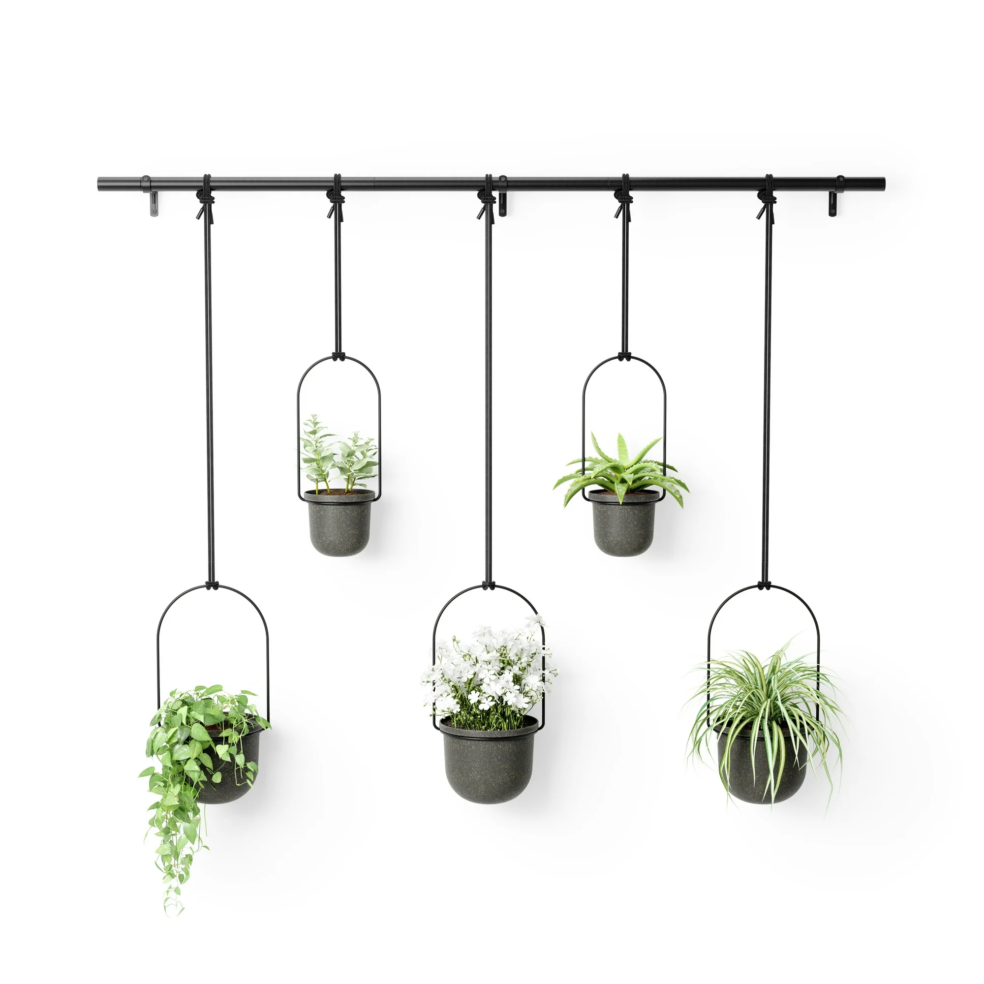 Umbra Triflora Hanging Planter Set of 5