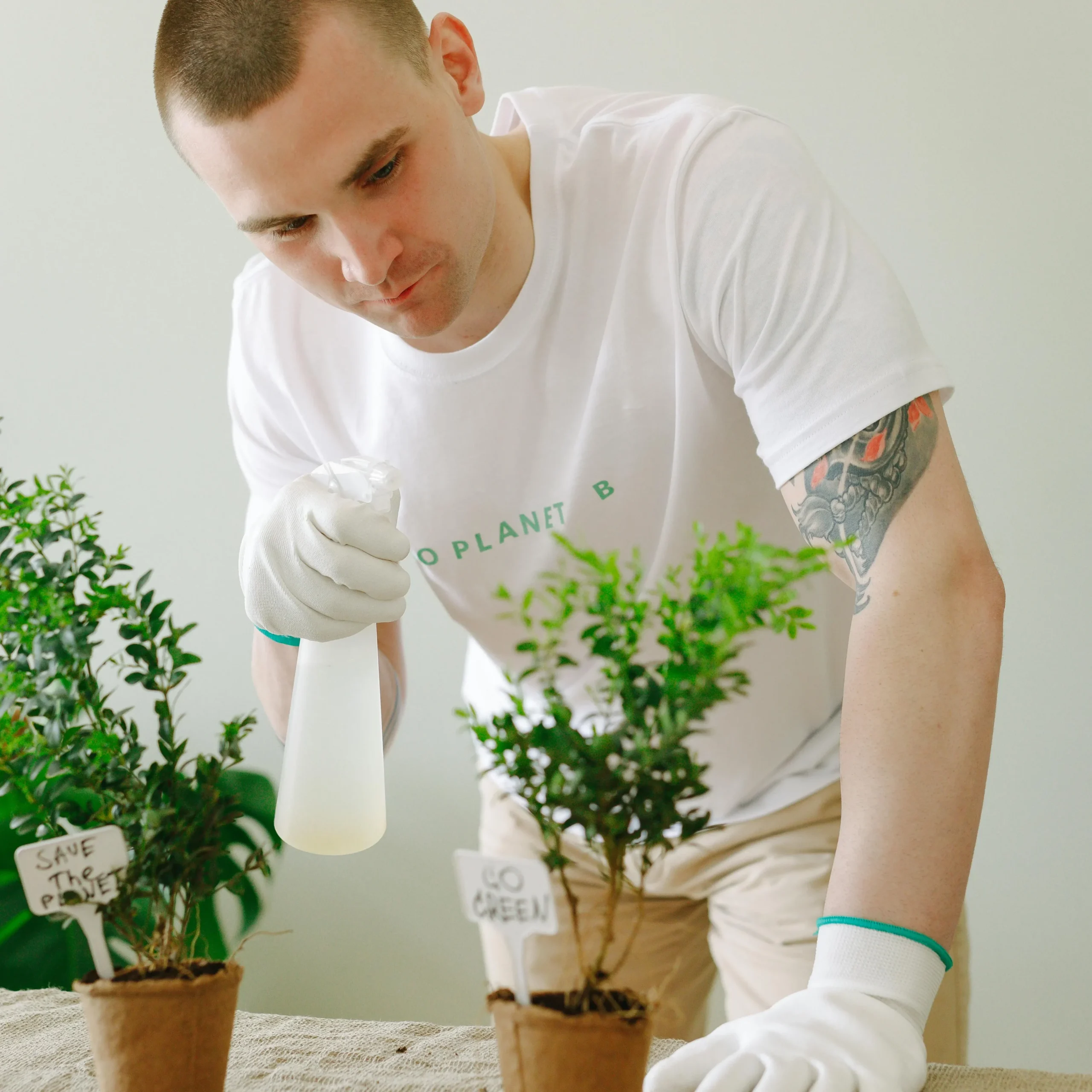 man is wiping down leaves with a damp cloth can help remove dust and sticky residues that can attract aphids on houseplants