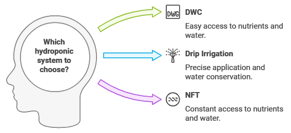 which hydroponic system to chose for hydroponic weed or hydroponic Cannabis 