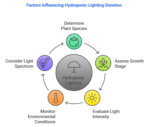 Factors Influencing Hydroponic Lighting Duration