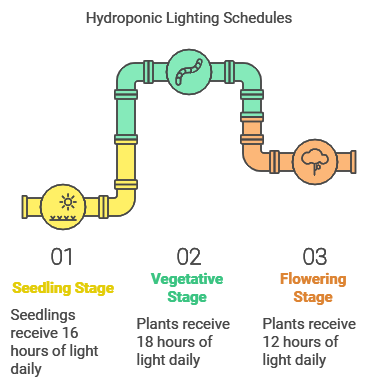 Hydroponic Lighting Schedule for Different Plant Stages