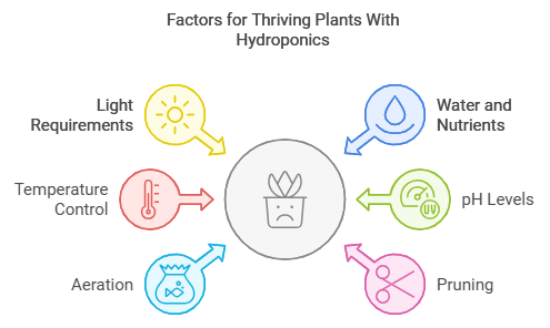 Factors To Grow Plants Indoors With Hydroponics