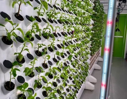 The Best Hydroponic Systems for Growing Flowers in Your Flat