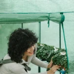 How to Grow Plants Indoors with Hydroponics