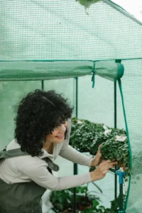 How to Grow Plants Indoors with Hydroponics