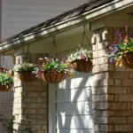 Best Self-Watering Hanging Planters for Your Home