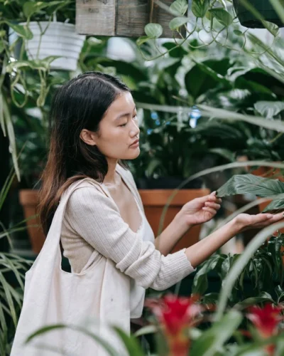 Trader Joe's Plant Obsession: The Best Day to Score Your Green Beauties