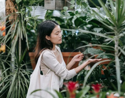 Trader Joe's Plant Obsession: The Best Day to Score Your Green Beauties