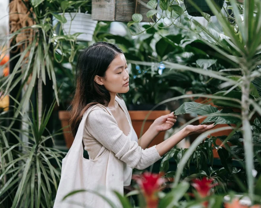 Trader Joe's Plant Obsession: The Best Day to Score Your Green Beauties