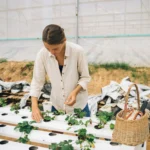 Women adjusting crops for General Hydroponics FloraSeries