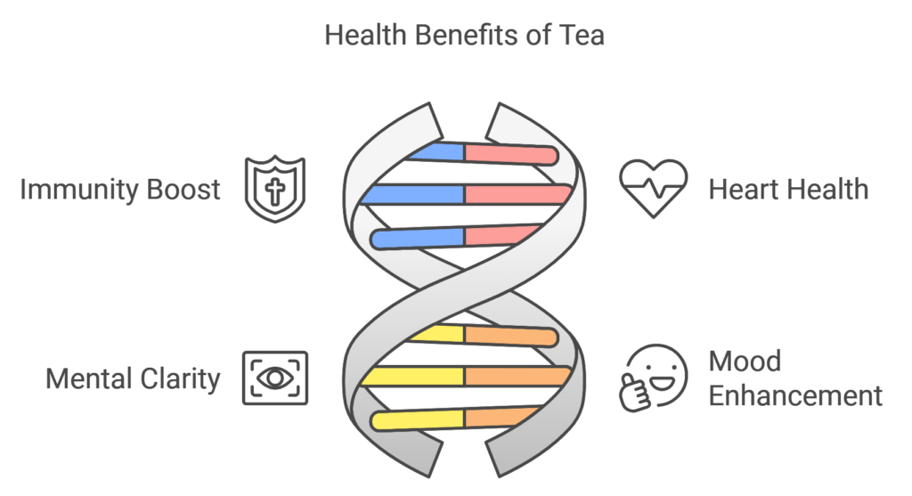 What is inside tea? Health Benefits of Tea and Polyphenols