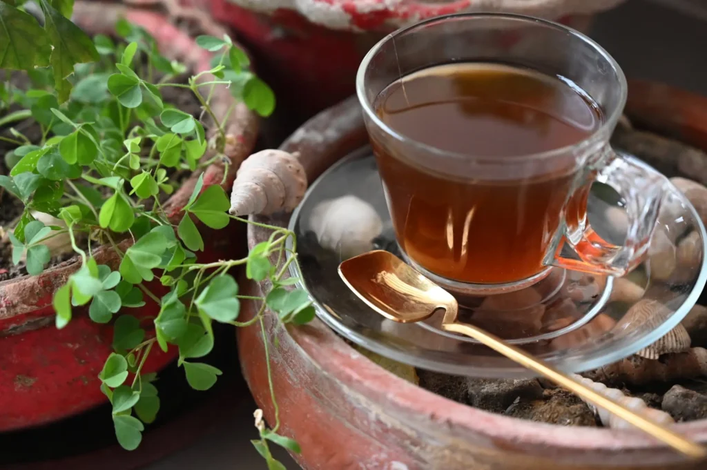 How to Grow Tea Indoors: Brew Your Own tea