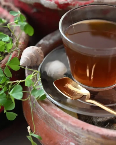 How to Grow Tea Indoors: Brew Your Own tea